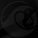 Stylo Retouche Opel 23B BLACK GLOSS - 4