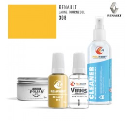 308 JAUNE TOURNESOL Renault