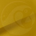 Stylo Retouche Renault EPT JAUNE