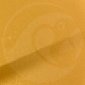 Stylo Retouche Toyota 5C1 NAPLES YELLOW PEARL