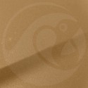 Stylo Retouche Citroen AC079 GAZELLE BEIGE