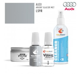 LS9R ARGENT GLACIER MET Audi