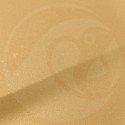 Stylo Retouche Citroen GDW BEIGE NEVADA