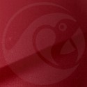 Stylo Retouche Citroen EKQ WICKED RED MICA