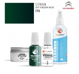 Stylo Retouche Citroen EYA VERT KINGDOM NACRE