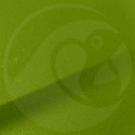 Stylo Retouche Citroen 400 VERT TIBESTI