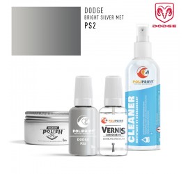 Stylo Retouche Dodge PS2 BRIGHT SILVER MET