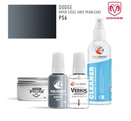 Stylo Retouche Dodge PS6 VIPER STEEL GREY PEARLCOAT