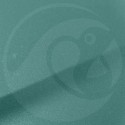 Stylo Retouche Fiat PG2 LATTE MENTA