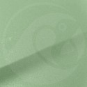 Stylo Retouche Fiat 363 VERDE CHIARO