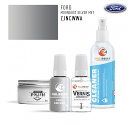 Stylo Retouche Ford Europe ZJNCWWA MOONDUST SILVER MET