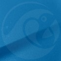 Stylo Retouche Ford Europe GG BLEU OLYMPIQUE
