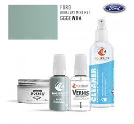 GGGEWHA BOHAI BAY MINT MET Ford Europe