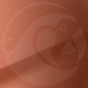 Stylo Retouche Ford Europe R6 BRONZE CELTIQUE MET