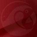 Stylo Retouche Hyundai IYR SPICY RED MET