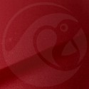 Stylo Retouche Jaguar CAH FIRENZE RED PEARL
