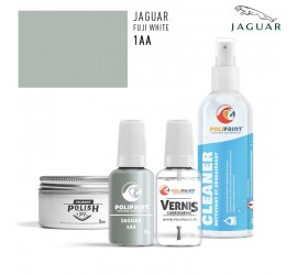 Stylo Retouche Jaguar 1AA FUJI WHITE