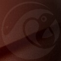 Stylo Retouche Lexus 4S6 BRANDY WINE MICA