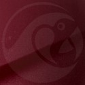 Stylo Retouche Mazda 40F BURGUNDY RED MICA
