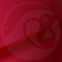 Stylo Retouche Mazda 41N RED CANDY 2 MET