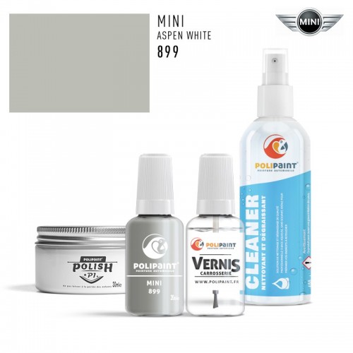 Stylo Retouche Mini 899 ASPEN WHITE