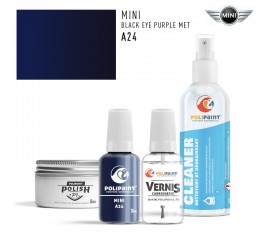 Stylo Retouche Mini A24 BLACK EYE PURPLE MET