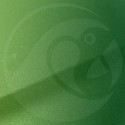 Stylo Retouche Nissan JT0 APPLE GREEN MET