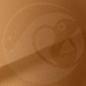 Stylo Retouche Nissan EAD BURNT ORANGE PEARL