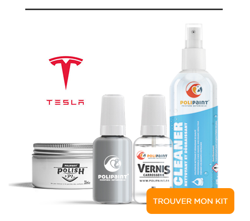 Kit Stylo Retouche Tesla + Vernis 